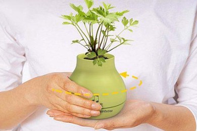 Музыкальная ваза Muse для пользы растений