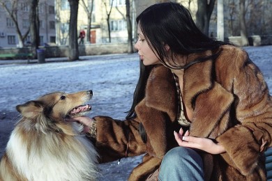 Картинка из рубрик: Картинки кофты вязание на спицах , Вязаные безрукавки жилетки