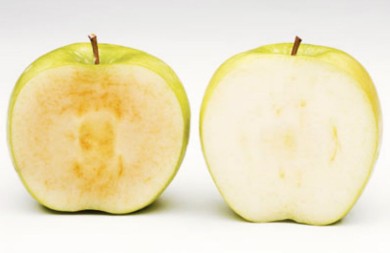 В  Канаде рекламируют ГМО яблоки