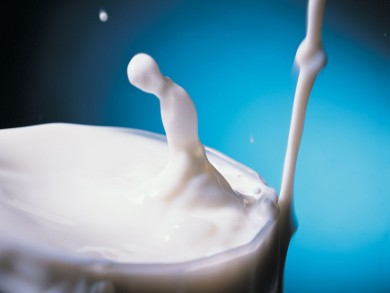 Врачи не рекомендуют пить сырое молоко