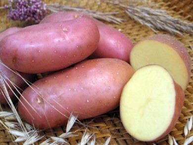 Картофель лечит язву желудка