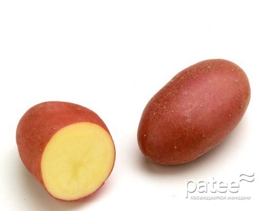 Готовим овощи: руководство