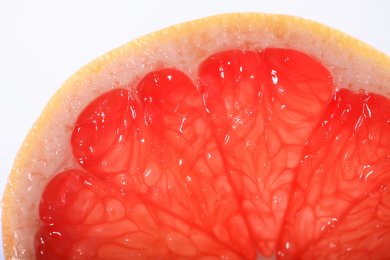 Ученые выяснили, что грейпфрут может остановить развитие поликистоза почек