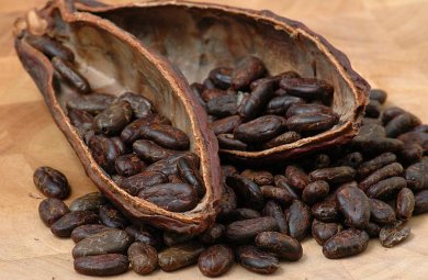 Ученые открыли новые свойства какао