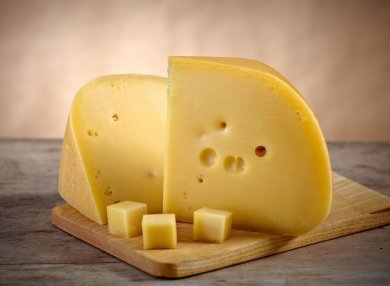 Ученые вырастили сыр в пробирке