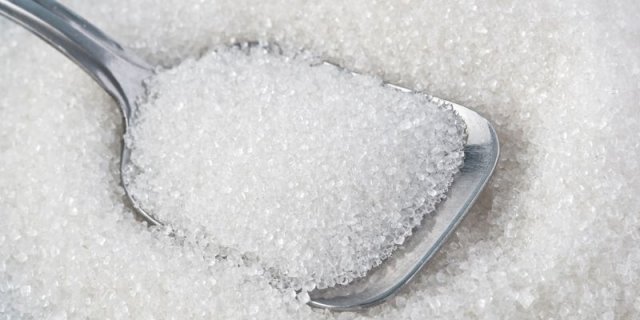 листовые водоросли ламинария листовые водоросли ламинария
