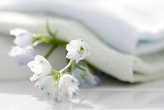 Чистота без вреда.