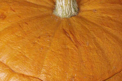 Гречневая каша в тыкве - Шаг 5