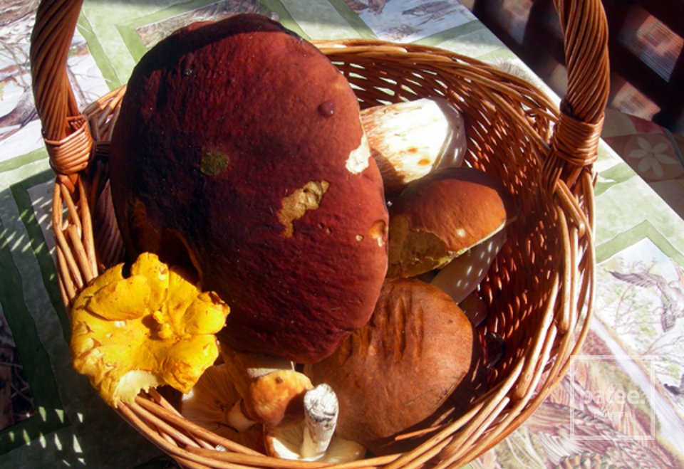 Пирожки с грибами - Шаг 1