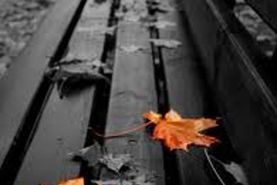 Что у нас за окном?