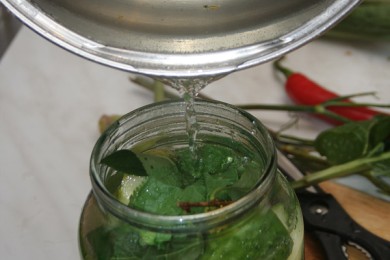 Малосольные огурцы (горячего засола) - Шаг 5