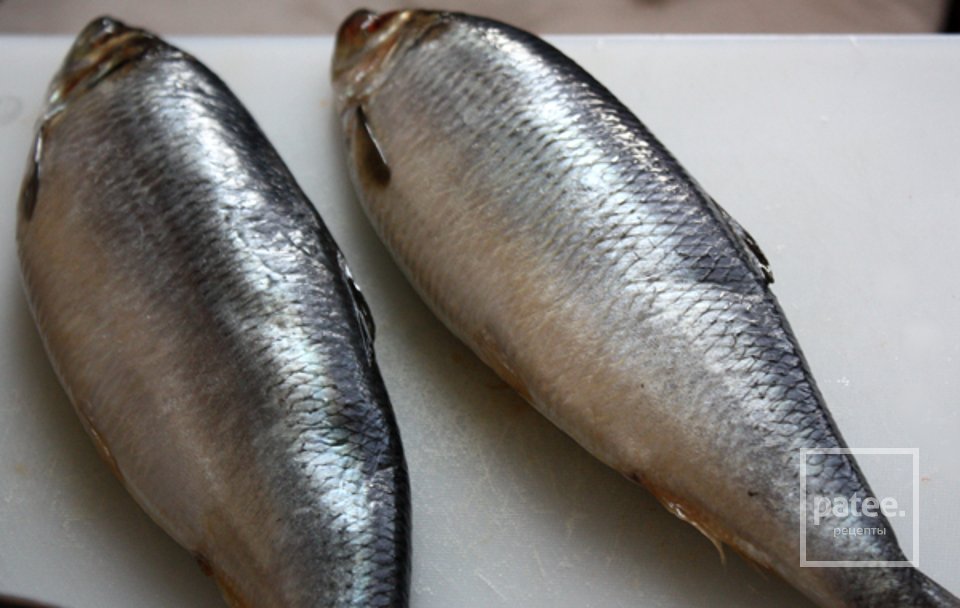 Закуска из сельди «Форшмак» - Шаг 1