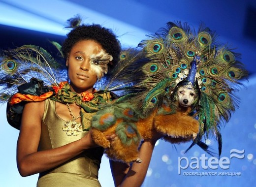 Pet Fashion Week