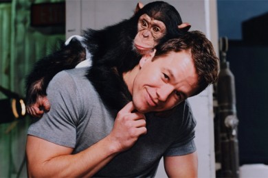 Марк Уолберг плохо влияет на животных