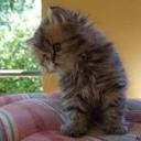 Алсу Хасанова