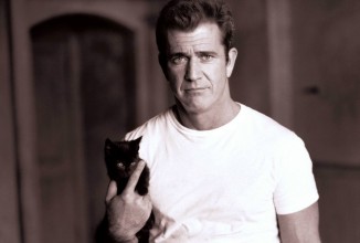 Никто не хочет Гибсона