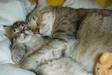 Сладостная пора)