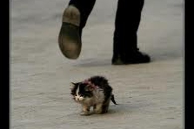 Равнодушие