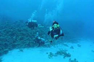 Хобби ваших половинок)