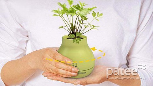 Музыкальная ваза Muse для пользы растений