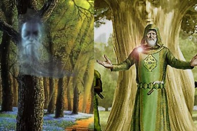 Виды деревьев и знаки зодиака.