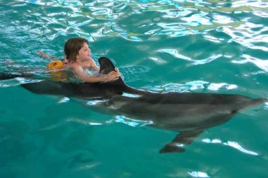 Пет-терапия.