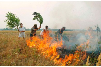 А как вы ведете себя в экстремальных ситуациях?