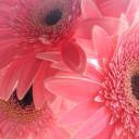 Татьяна Козлова