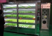 Торговый автомат для продажи живой зелени