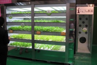 Торговый автомат для продажи живой зелени