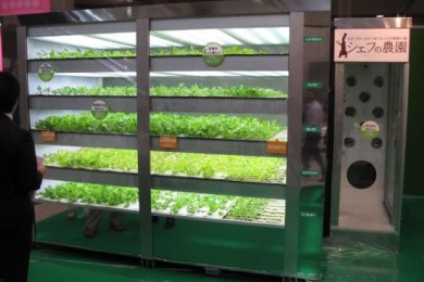 Торговый автомат для продажи живой зелени