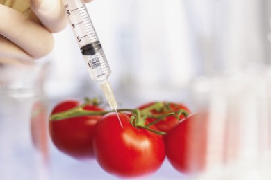 Как обезопасить себя от продуктов генной модификации?