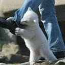 Егорыныч Морской-Змей