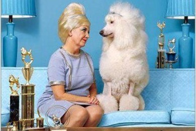 С каким животным вы себя ассоциируете?