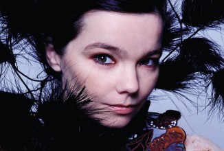 День рождения Бьорк