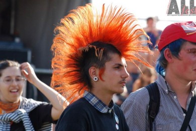 Как вы относитесь к молодежным субкультурам?