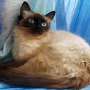 Евгения Фомина