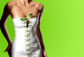 Достоинства диеты, основанной на употреблении зеленого чая