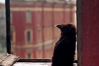 Зашиваюсь!!!....