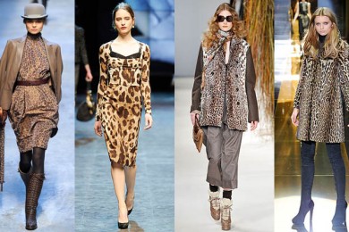Леопардовая расцветка снова в моде!