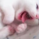 Настя Иванова