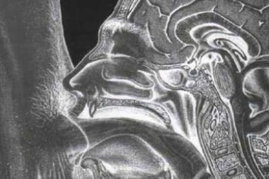 Горловой минет