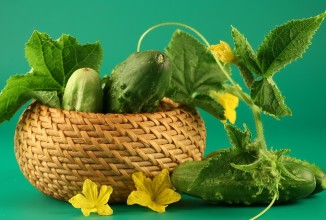 Огуречная диета от Ксении Бородиной