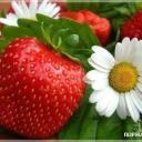 Рузана Магомедова