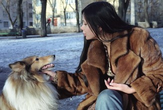 Как правильно почистить меховые изделия и дубленки в домашних условиях?