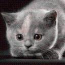 Анастасия Толмакова