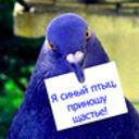 Никнейм Никнейм