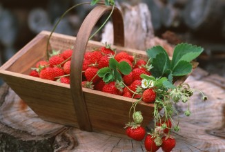 Наступает время летних ягод