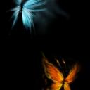 мария николаева