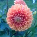 наталья наталья